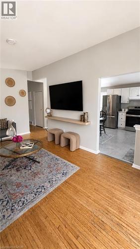 241 Thorner Drive, Hamilton, ON - Indoor Photo Showing Living Room