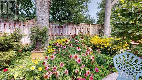 4 King Street, Cornwall, ON - Outdoor