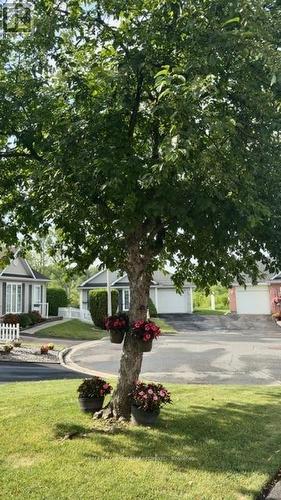 1505 Frank Court, Cornwall, ON - Outdoor