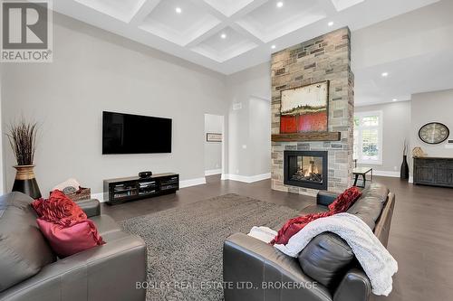 94 Terrence Park Drive, Hamilton (Ancaster), ON - Indoor Photo Showing Living Room With Fireplace