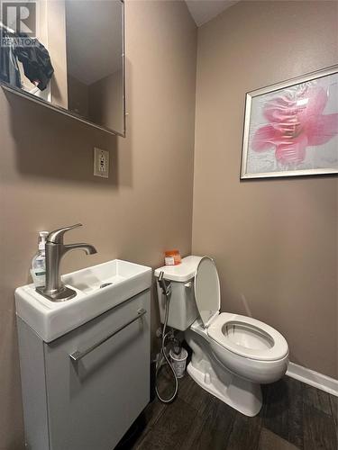12 Blatch Avenue, St. John'S, NL - Indoor Photo Showing Bathroom