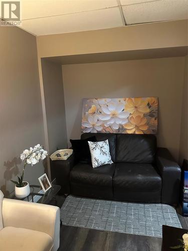 12 Blatch Avenue, St. John'S, NL - Indoor Photo Showing Living Room