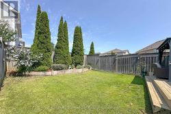 Backyard. - 