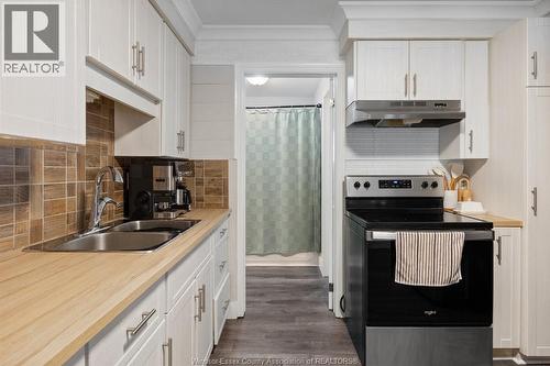 629 Labute, Tecumseh, ON - Indoor Photo Showing Kitchen With Double Sink