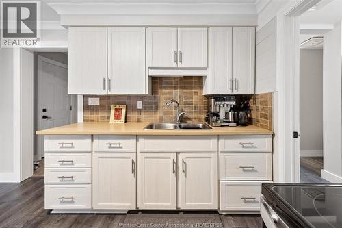 629 Labute, Tecumseh, ON - Indoor Photo Showing Kitchen With Double Sink