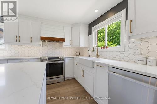 3 Alona Avenue, Cambridge, ON - Indoor Photo Showing Kitchen With Upgraded Kitchen