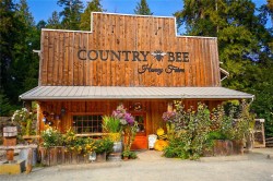 6440 West Saanich Rd Saanich, BC V8M 1W8