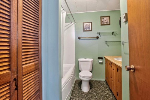 Salle de bains - 89 Rue Des Horizons, Mont-Blanc, QC - Indoor Photo Showing Bathroom