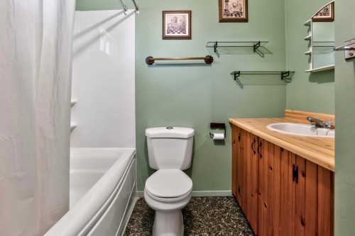 Salle de bains - 89 Rue Des Horizons, Mont-Blanc, QC - Indoor Photo Showing Bathroom