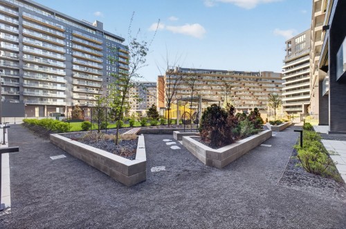Courtyard - 621-505 Rue De L'Escale, Brossard, QC - Outdoor