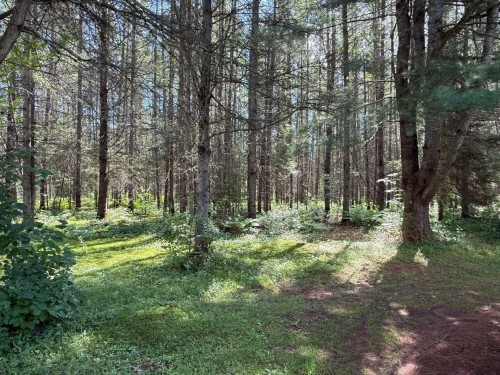 Courtyard - 4470 Ch. De La Gare, Labelle, QC - Outdoor With View