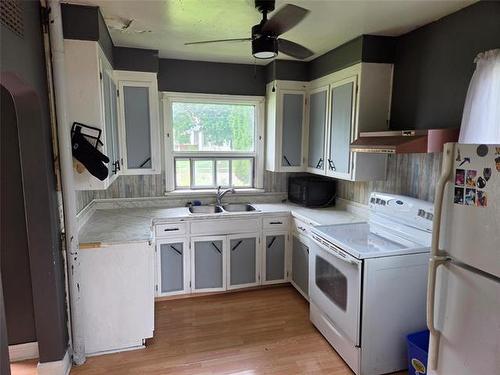 647 Muriel St, Winnipeg, MB - Indoor Photo Showing Kitchen With Double Sink