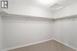 Walk-in closet featuring carpet flooring, built-in shelving, and hanging rods - 