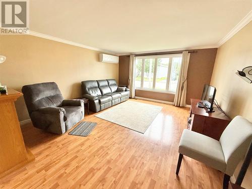 9 Eltero Park, Bishop'S Falls, NL - Indoor Photo Showing Living Room