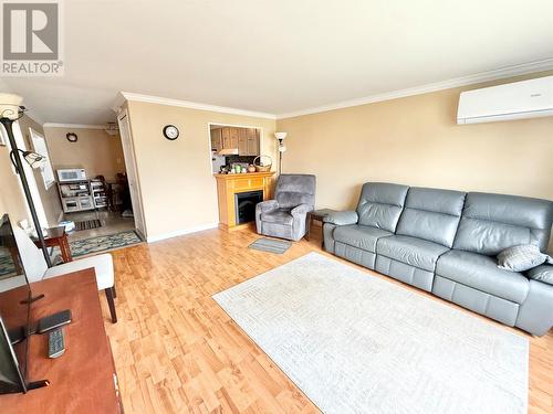 9 Eltero Park, Bishop'S Falls, NL - Indoor Photo Showing Living Room With Fireplace