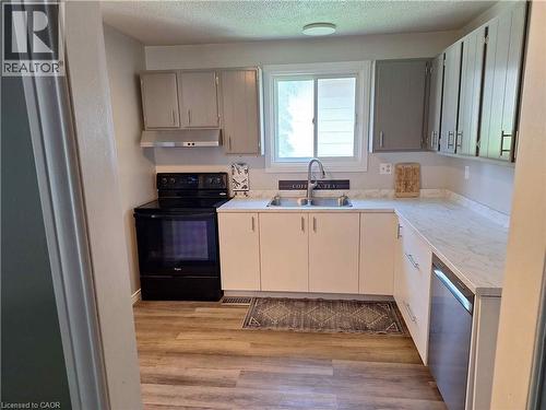48 Crestlynn Crescent, Simcoe, ON - Indoor Photo Showing Kitchen With Double Sink
