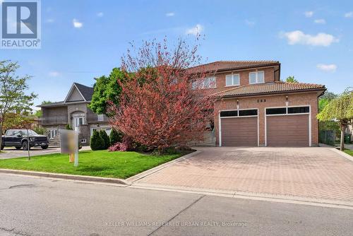 162 Codsell Avenue, Toronto, ON - Outdoor