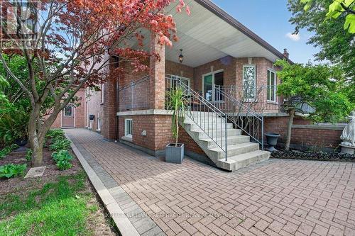 162 Codsell Avenue, Toronto, ON - Outdoor