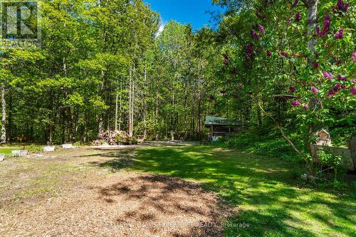 181 Park Road, Tiny, ON - Outdoor