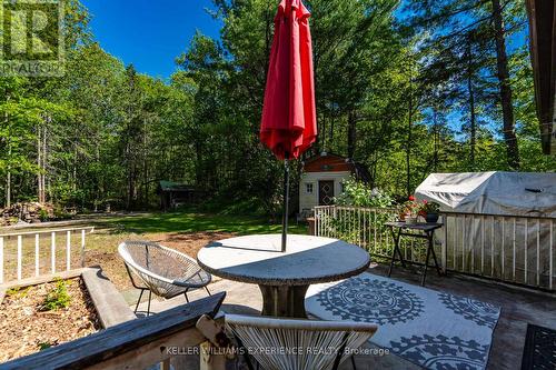 181 Park Road, Tiny, ON - Outdoor