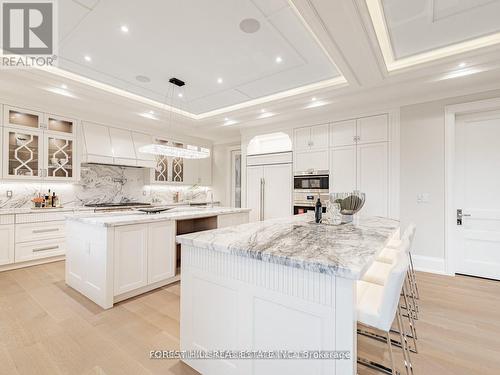39 Rippleton Road, Toronto, ON - Indoor Photo Showing Kitchen With Upgraded Kitchen