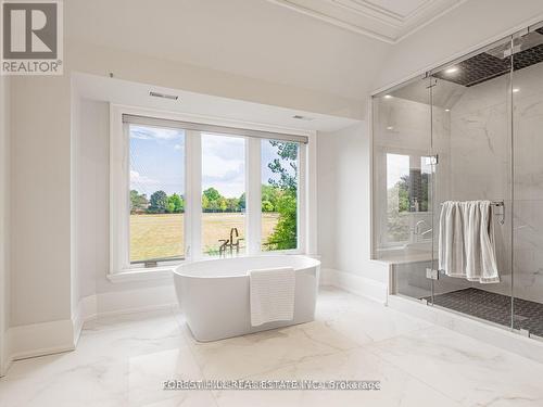 39 Rippleton Road, Toronto, ON - Indoor