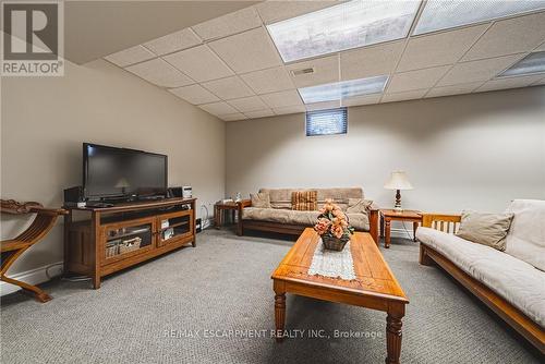 137 Pinehill Drive, Hamilton, ON - Indoor Photo Showing Basement