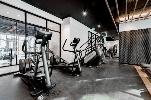 Salle d'exercice - 3117-1210 Rue Jeanne-Mance, Montréal (Ville-Marie), QC - Indoor Photo Showing Gym Room