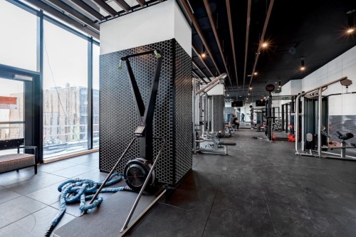 Salle d'exercice - 3117-1210 Rue Jeanne-Mance, Montréal (Ville-Marie), QC - Indoor Photo Showing Gym Room