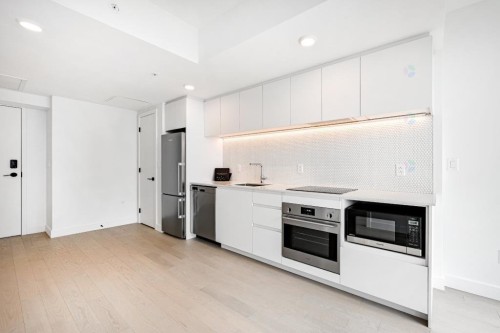 Cuisine - 3117-1210 Rue Jeanne-Mance, Montréal (Ville-Marie), QC - Indoor Photo Showing Kitchen