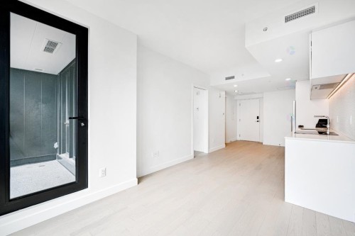 Vue d'ensemble - 3117-1210 Rue Jeanne-Mance, Montréal (Ville-Marie), QC - Indoor Photo Showing Other Room