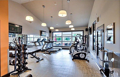Salle d'exercice - 204-5131 Av. Eliot, Laval (Chomedey), QC - Indoor Photo Showing Gym Room