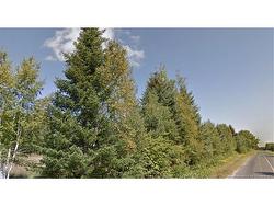 3082 North Tetagouche RD  North Tetagouche, NB E2A 4Y9
