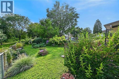 Expansive green space featuring mature trees and diverse plantings - 230 Picton Street E, Hamilton, ON - Outdoor