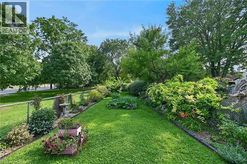 Expansive green lawn with mature trees, established garden beds, and chain-link fencing - 230 Picton Street E, Hamilton, ON - Outdoor