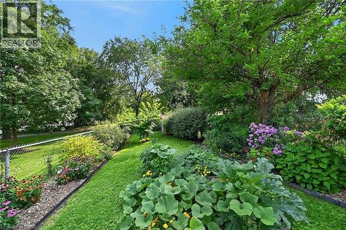 Expansive lawn area with mature trees and diverse planted garden beds - 230 Picton Street E, Hamilton, ON - Outdoor