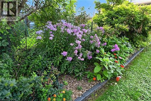 230 Picton Street E, Hamilton, ON - Outdoor