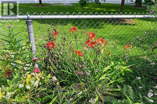 Additional content - 230 Picton Street E, Hamilton, ON - Outdoor