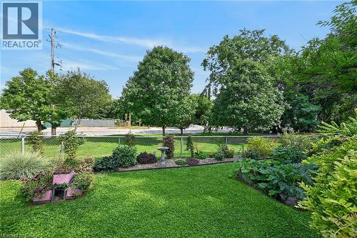 Expansive lawn area with a chain-link fence, mature trees, and landscaped garden beds - 230 Picton Street E, Hamilton, ON - Outdoor
