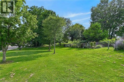 Expansive green lawn with mature trees and a chain-link fence - 230 Picton Street E, Hamilton, ON - Outdoor