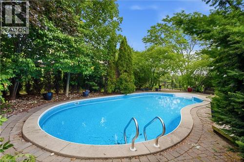 131 Huntingwood Avenue, Hamilton, ON - Outdoor With In Ground Pool With Backyard