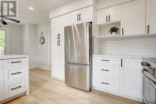189 Eighth Avenue, Kitchener, ON - Indoor Photo Showing Kitchen With Upgraded Kitchen
