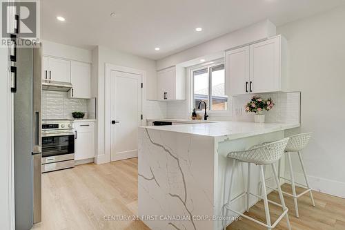 189 Eighth Avenue, Kitchener, ON - Indoor Photo Showing Kitchen With Upgraded Kitchen
