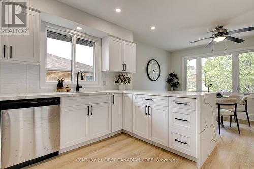 189 Eighth Avenue, Kitchener, ON - Indoor Photo Showing Kitchen With Upgraded Kitchen