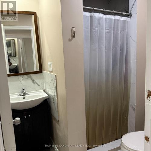 336 King William Street, Hamilton, ON - Indoor Photo Showing Bathroom