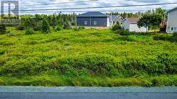 32 Dawes Place Conception Bay South, NL A1X 6Z7