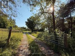 575 REIVE BOULEVARD Innisfil, ON L0L 1L0