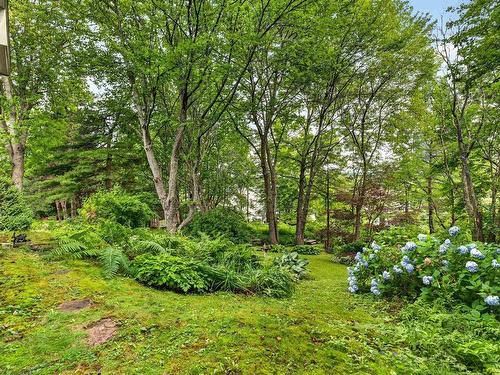 15 Cranston Ave,, Dartmouth, NS - Outdoor