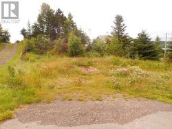 127 Bayview Road Springdale, NL A0J 1T0