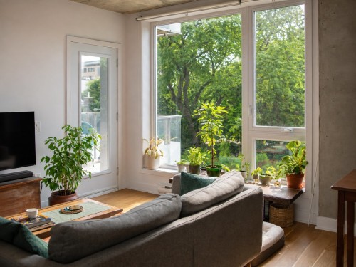 Salon - 301-3600 Rue Rachel E., Montréal (Rosemont/La Petite-Patrie), QC - Indoor Photo Showing Living Room